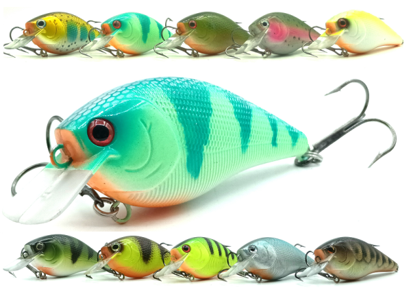 Angry Perch